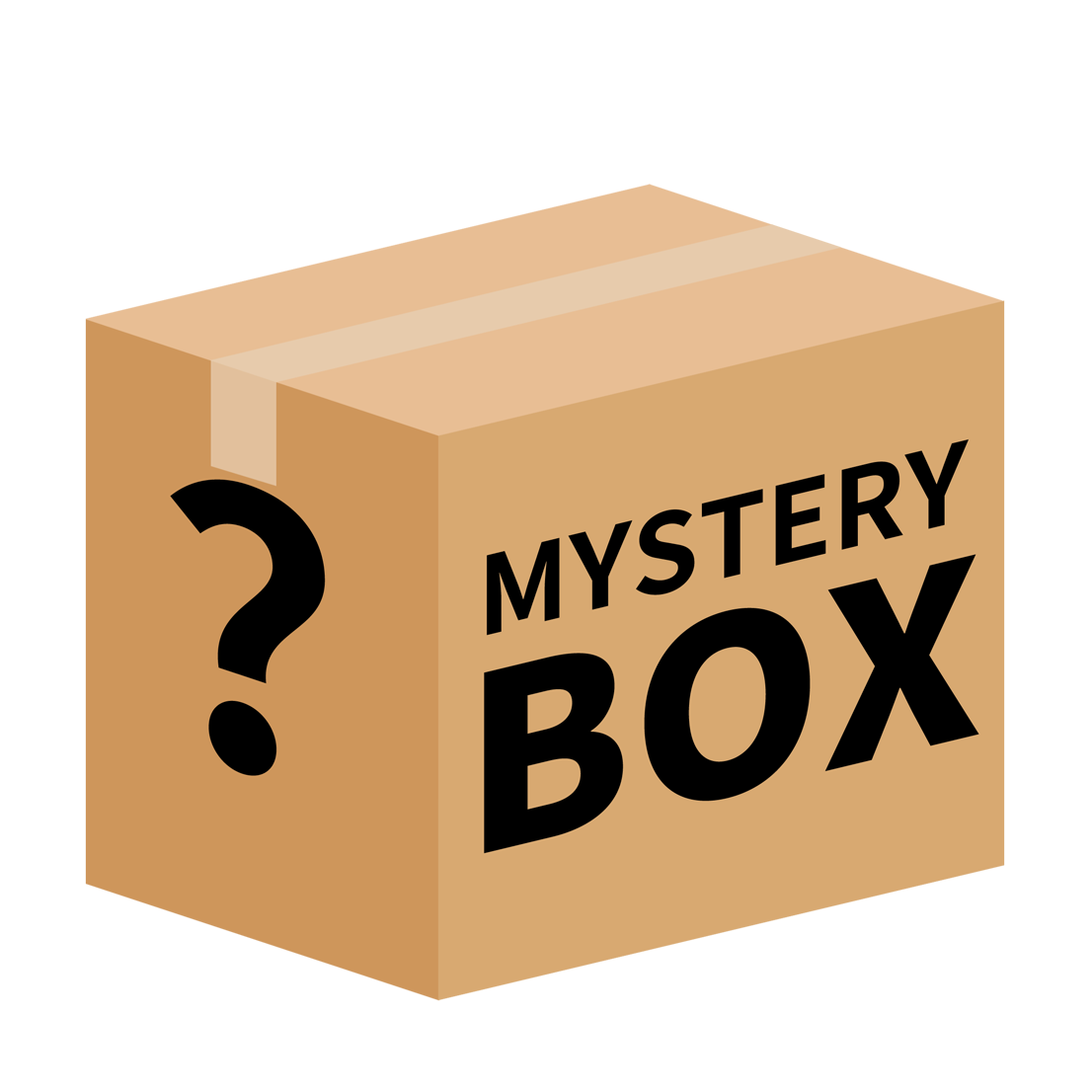 Mystery Gift